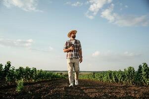 Front ,view, walking f,,orward. Farmer is on the agricultural field photo