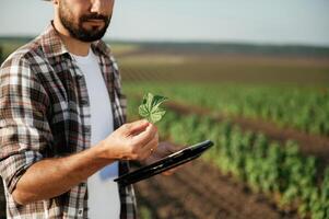 Black, digital, tablet in hand. Farmer is on the agricultural field photo