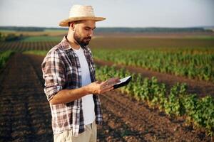Black digital, tablet in hand. Farmer is on the agricultural field photo