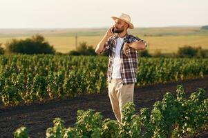 Having, conversation, by phone. Farmer is on the agricultural field photo