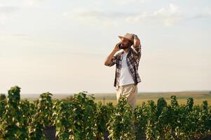 Talking by, a phone. Farmer is on the agricultural field photo