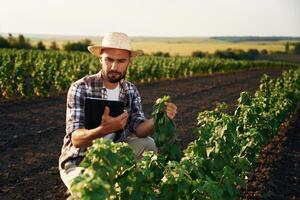 Quality ,,control, with digital tablet. Farmer is on the agricultural field photo