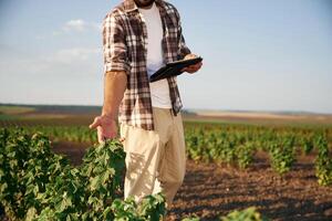 Quality, control, with digital tablet. Farmer is on the agricultural field photo