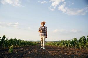 Front,, view, walking forward. Farmer is on the agricultural field photo