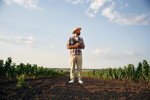 Front view,, walking forward. Farmer is on the agricultural field photo