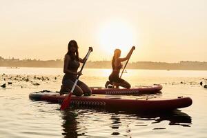 Against, sunset light... Women friends are on sup board on the lake together photo