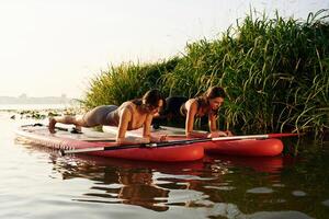 Plank exercise.. Women friends are on sup board on the lake together photo