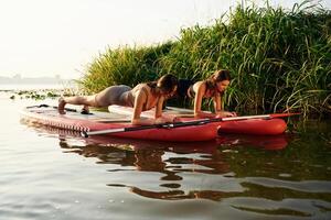 Plank ,exercise. Women friends are on sup board on the lake together photo