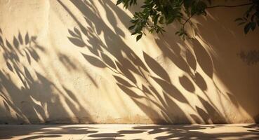 Shadow Play. Leaves casting shadows on a textured wall in warm sunlight, creating patterns. photo