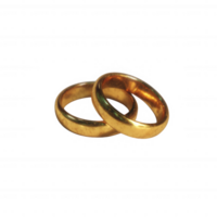 Two golden wedding rings displayed together, symbolizing love and commitment. Perfect for celebrating marriage and relationships in a modern context. png