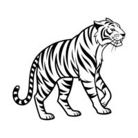 A tiger walking in a line on a white background vector
