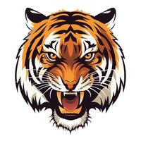 The tiger head is shown on a white background vector