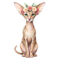 Watercolor illustration of a sphinx cat with flowers on its head png
