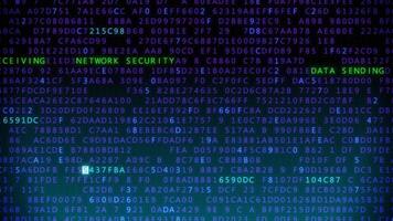 Internet security screen loop video