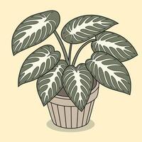 Anubias Plant in Decorative Pot Illustration vector