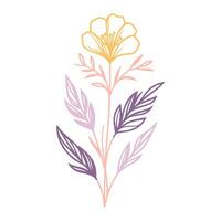 floral sketch in minimalist line style with cotton elements for use in fashion fabric wedding cushions and digital art applications vector