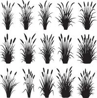 Set of twelve black silhouettes of various types of grass and reeds. vector