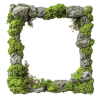 Organic Square Frame With Mossy Rock Texture on a transparent background png