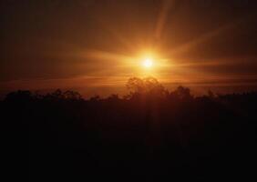 the sun is setting over a field with trees photo
