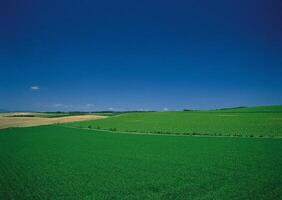 a large field with a sky blue sky photo