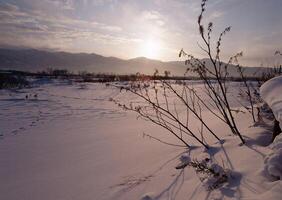 a snow covered field with a sun setting behind it photo