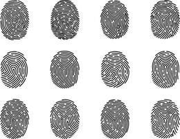 Collection of twelve unique fingerprint illustrations in black featuring diverse swirl patterns and ridge characteristics suitable for design purposes vector