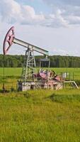 With help of progressive movements up and down, an oil rig extracts black gold from ground during the summer in the field. video