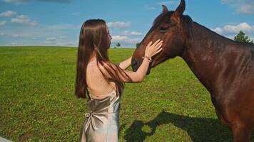 A beautiful young woman, wearing a dress, lovingly strokes the muzzle of a large, brown horse, which is standing behind a fence in a field on a farm. video