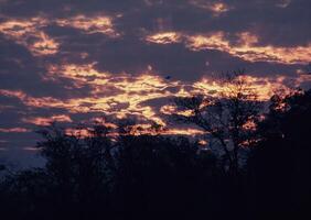 a sunset with clouds and trees in the background photo