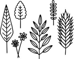 Collection of Hand-Drawn Leaves and Floral Elements set of plants vector