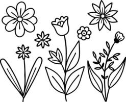Set of Plants with Leaves Line Art Drawing vector