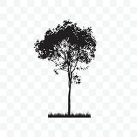 Silhouette of a Tree Illustration for Design Projects vector