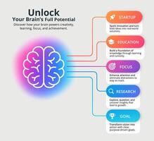 Creative brain infographic with colorful gradient background vector