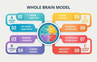 Whole Brain Methods vector