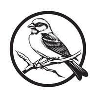 Eurasian Tree Sparrow Bird stock image illustration isolated on white background. vector