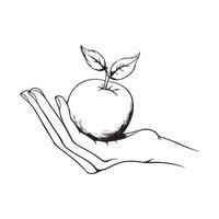 Hand Holding Apple Image isolated on white background vector