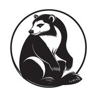 Collared Anteater Tamandua Tetradactyla On White vector