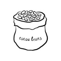 Bag of cocoa beans ink sketch. Illustration with heap of cocoa beans. Design element for template, logo, card, print, paper, sign, wrapping. Chocolate ingredient, organic oil, food, beauty vector