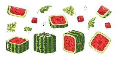 Square Watermelon Icon Set Flat Illustrations of Whole Fruit and Slices on White Background. Minimalist Design for Stickers, Logos, Summer Graphics, Food Packaging, Social Media and Digital Projects. vector