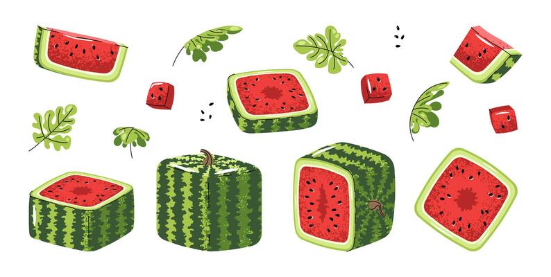 Square Watermelon Icon Set Flat Illustrations of Whole Fruit and Slices on White Background. Minimalist Design for Stickers, Logos, Summer Graphics, Food Packaging, Social Media and Digital Projects.