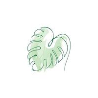 palm leaf is drawn with a line vector