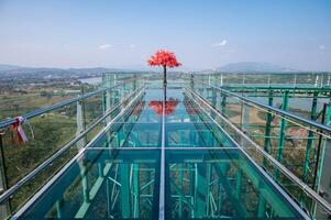 Scenery view of skywalk in Wat Phrathat Pha Ngao temple for viewing Thailand and Laos border across Mekong river. photo