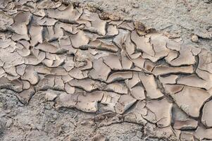 Full frame shot of mudcrack surface and background. photo