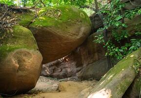An iconic turtle rock in Naga Cave, located in the Bueng Kan province of Northeastern Thailand. This strange and amazing beauty of the large stone shaped like a giant turtle. photo
