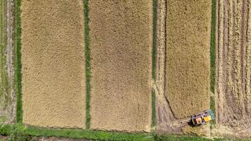 High angle view of a combine harvester while harvesting rice crops in rice field. photo