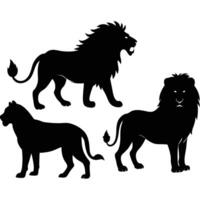 Black silhouette illustrations depicting three majestic lions in various poses against a white background vector