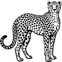 Black and white illustration of a cheetah in a standing position displaying spots vector