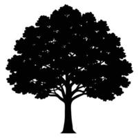 Silhouette of a large mature tree with detailed branches and lush foliage isolated on white background vector