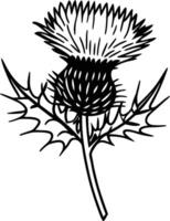 Detailed Line Art Illustration of a Thistle Flower vector