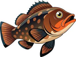 Illustration of a Grouper Fish with Brown and Orange Markings vector